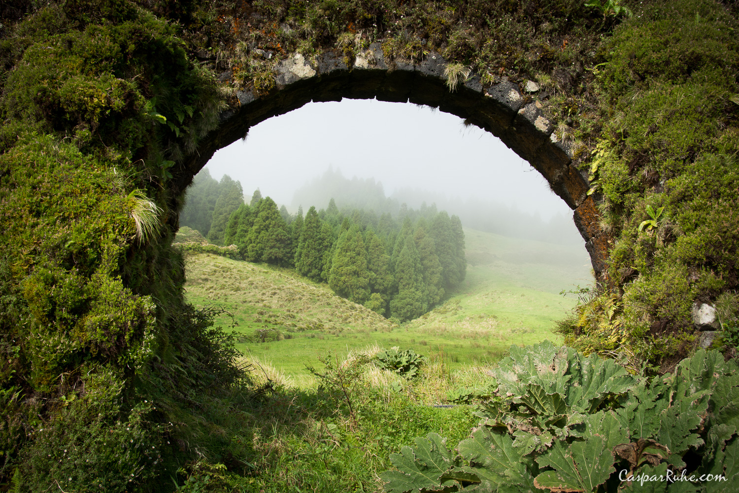 Aqueduto do Carvão